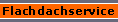 Flachdachservice